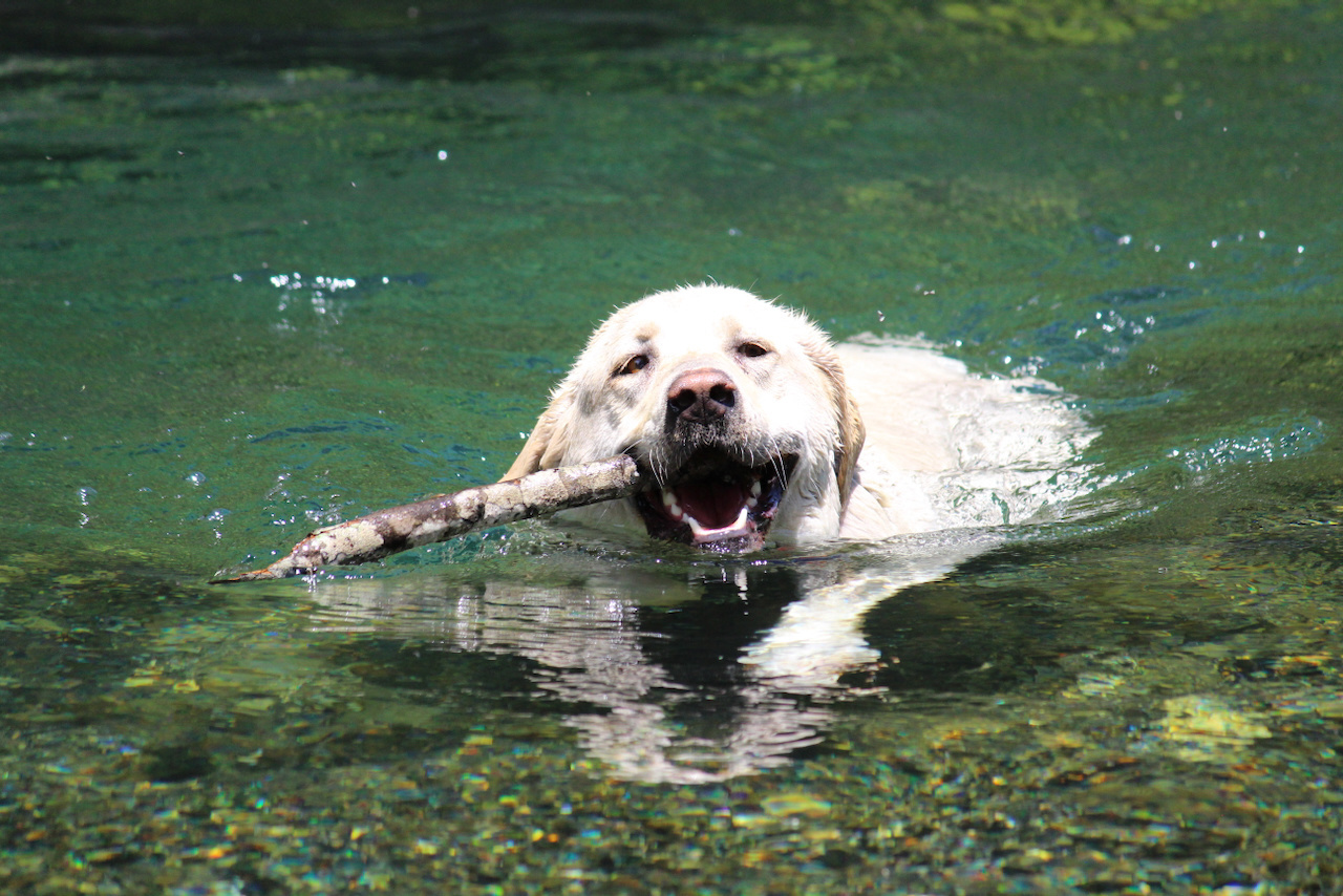 鎌倉リノベーション